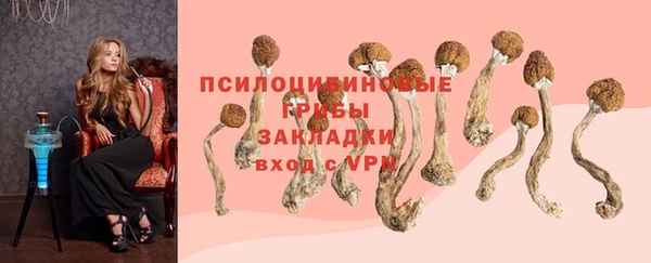 мяу мяу кристалл Янаул