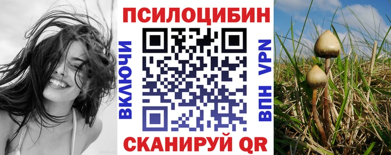 Галлюциногенные грибы Magic Shrooms  Ессентукская 